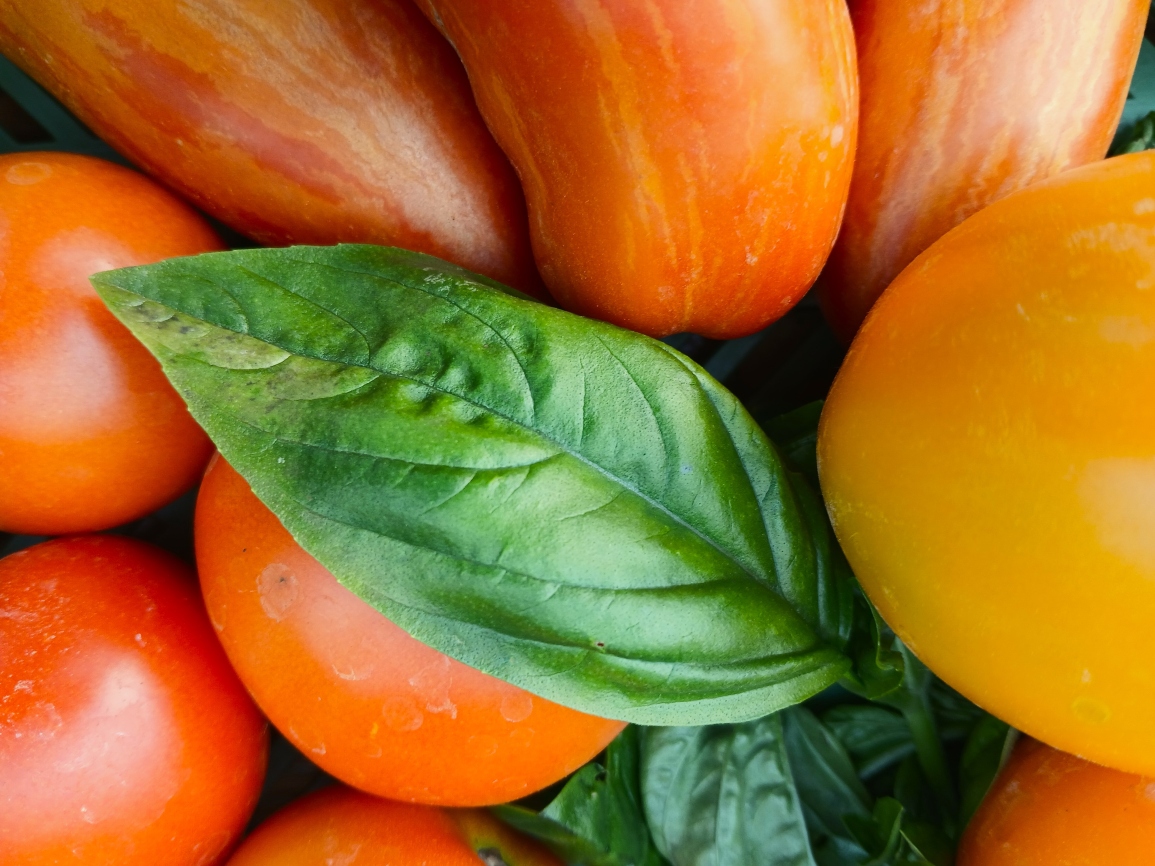 Regionale Lebensmittel